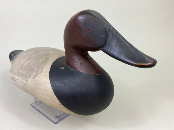 Capt. Harry Jobes Canvasback Drake (#8552)