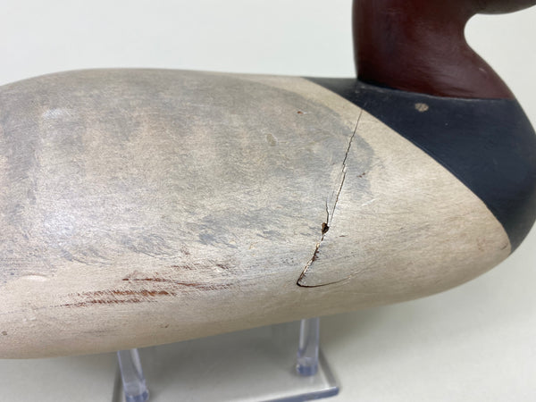 Capt. Harry Jobes Canvasback Drake (#8552)