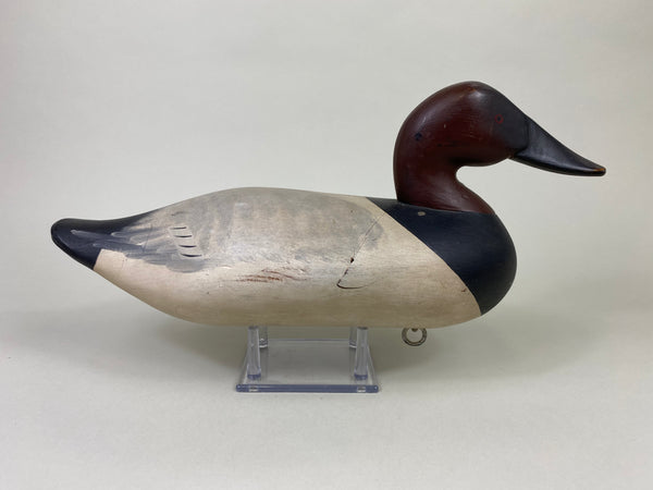 Capt. Harry Jobes Canvasback Drake (#8552)