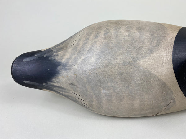 Capt. Harry Jobes Canvasback Drake (#8552)