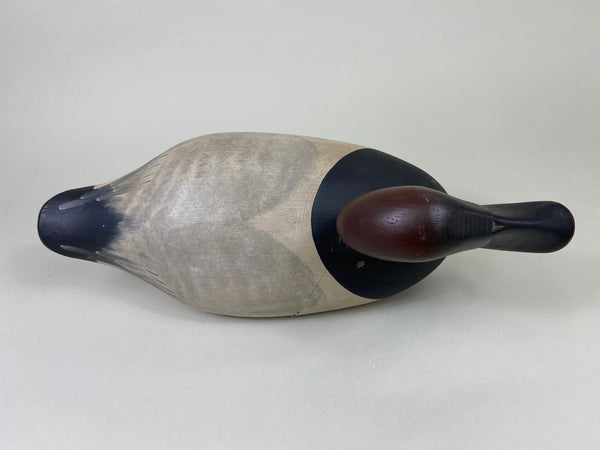 Capt. Harry Jobes Canvasback Drake (#8552)