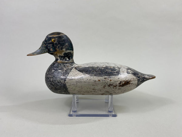 George Sibley Bluebill, Circa 1920's (#8556)