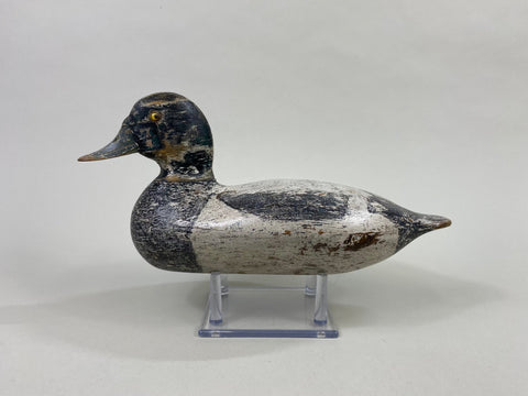 George Sibley Bluebill, Circa 1920's (#8556)