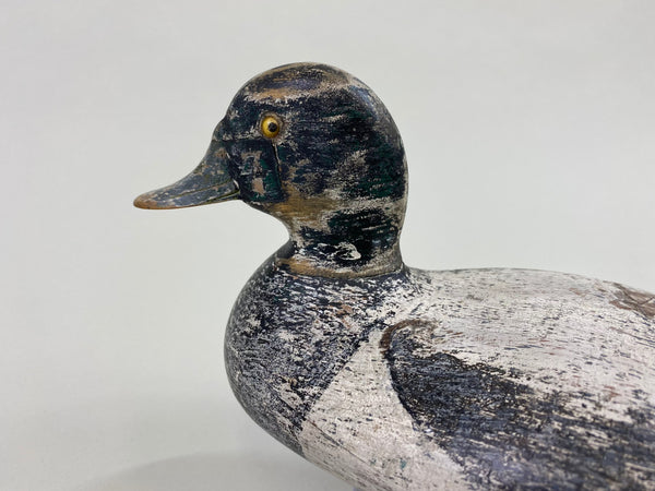 George Sibley Bluebill, Circa 1920's (#8556)