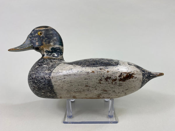 George Sibley Bluebill, Circa 1920's (#8556)