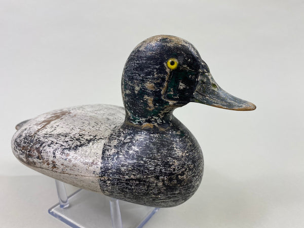 George Sibley Bluebill, Circa 1920's (#8556)