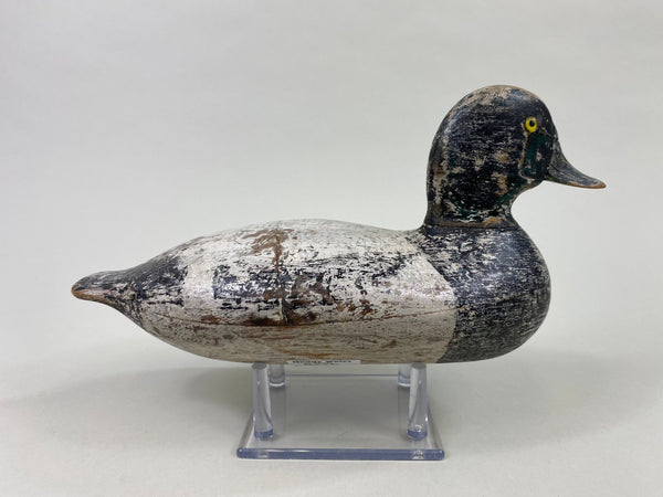 George Sibley Bluebill, Circa 1920's (#8556)