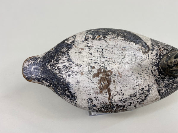 George Sibley Bluebill, Circa 1920's (#8556)