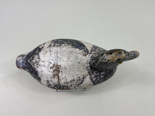 George Sibley Bluebill, Circa 1920's (#8556)