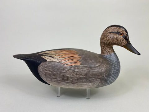 Ken Harris Gadwall Original Paint (#8558)