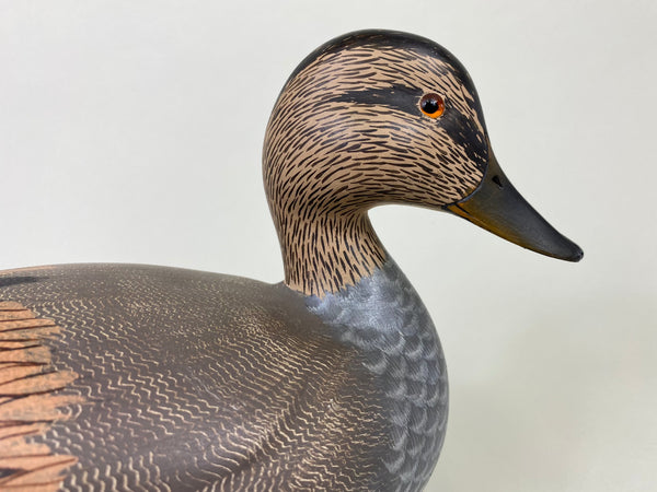 Ken Harris Gadwall Original Paint (#8558)