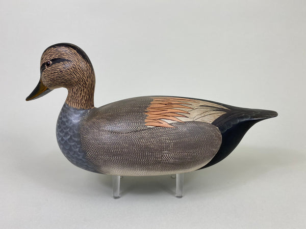 Ken Harris Gadwall Original Paint (#8558)