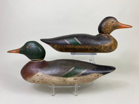 Mason Painted Eye Pair of Mallards, Original Paint (#8572)