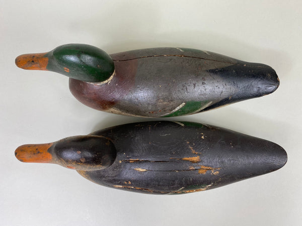 Mason Painted Eye Pair of Mallards, Original Paint (#8572)