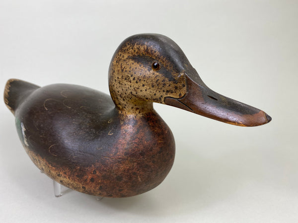 Mason Premier Mallard Hen, Circa 1915 (#8579)