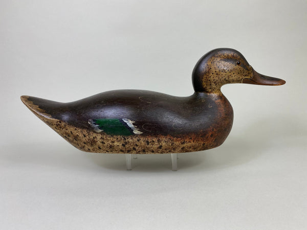 Mason Premier Mallard Hen, Circa 1915 (#8579)