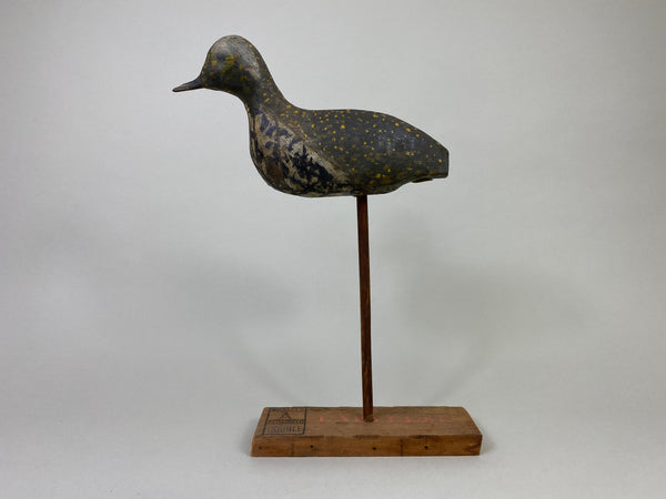 New Jersey Golden Plover (#8581)