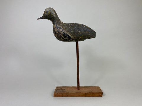 New Jersey Golden Plover (#8581)