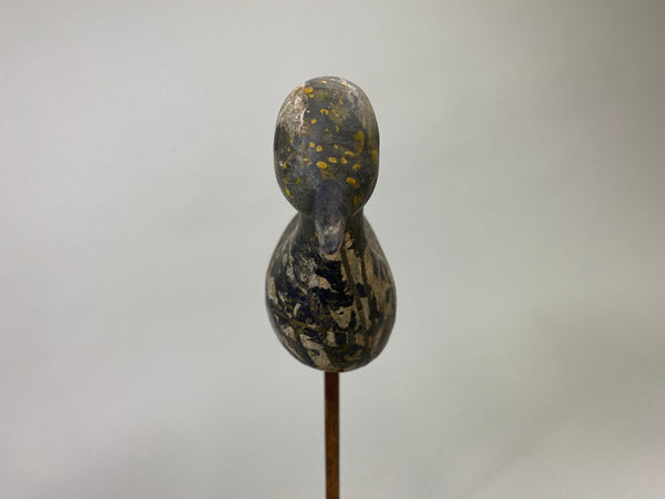 New Jersey Golden Plover (#8581)