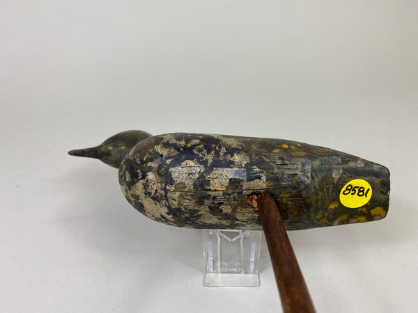 New Jersey Golden Plover (#8581)