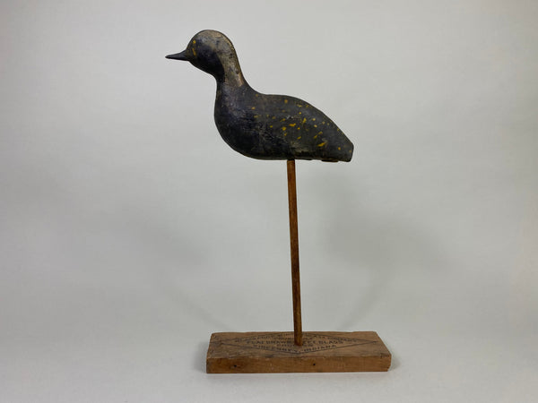 New Jersey Plover, Circa 1900's (#8583)