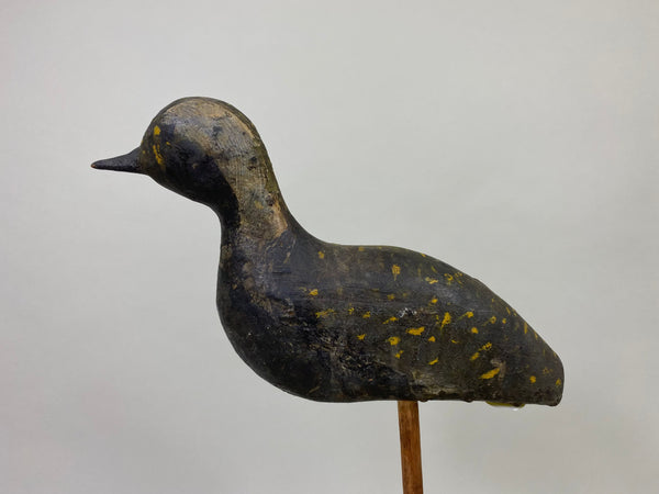 New Jersey Plover, Circa 1900's (#8583)