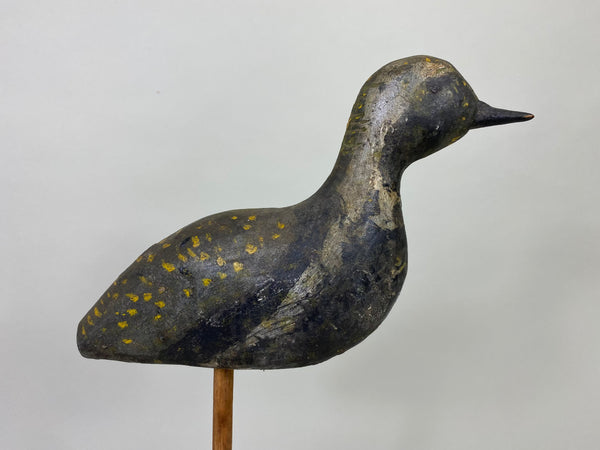 New Jersey Plover, Circa 1900's (#8583)
