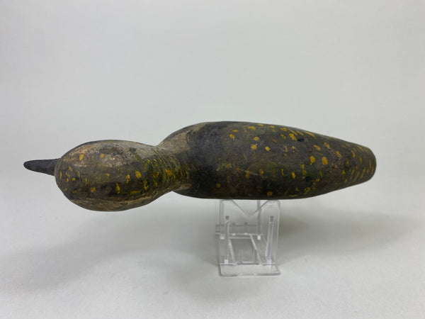 New Jersey Plover, Circa 1900's (#8583)