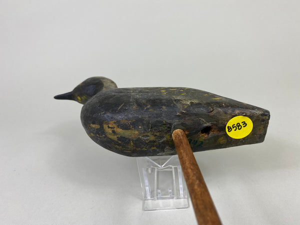 New Jersey Plover, Circa 1900's (#8583)