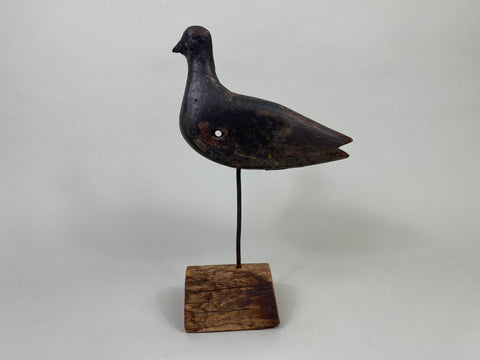 Unknown New Jersey Shorebird, Circa 1890's (#8584)