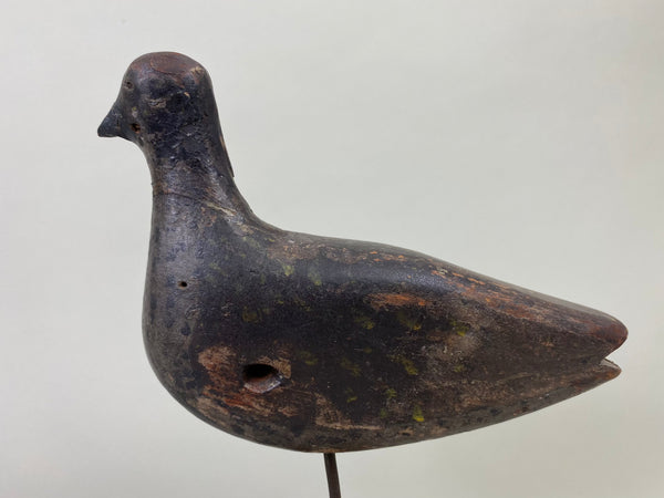 Unknown New Jersey Shorebird, Circa 1890's (#8584)