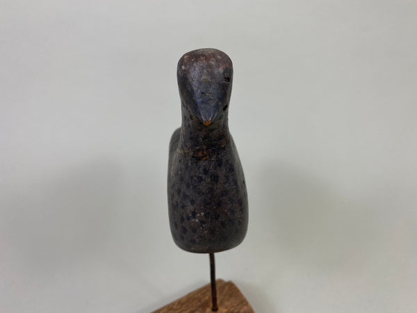 Unknown New Jersey Shorebird, Circa 1890's (#8584)