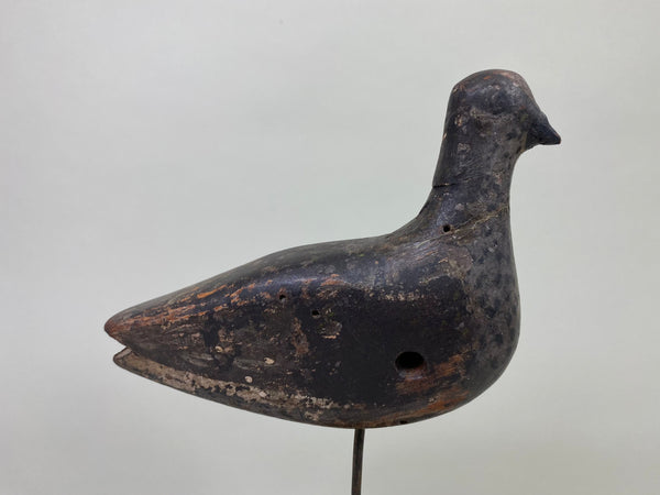 Unknown New Jersey Shorebird, Circa 1890's (#8584)