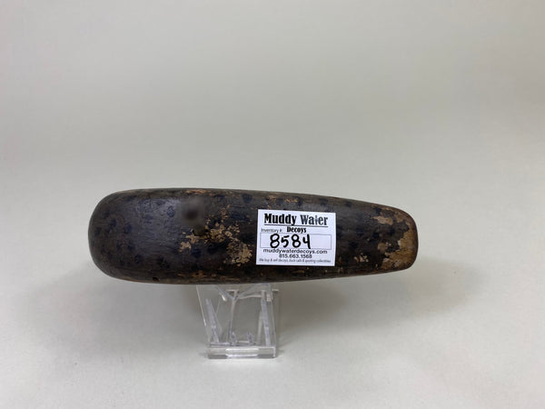 Unknown New Jersey Shorebird, Circa 1890's (#8584)