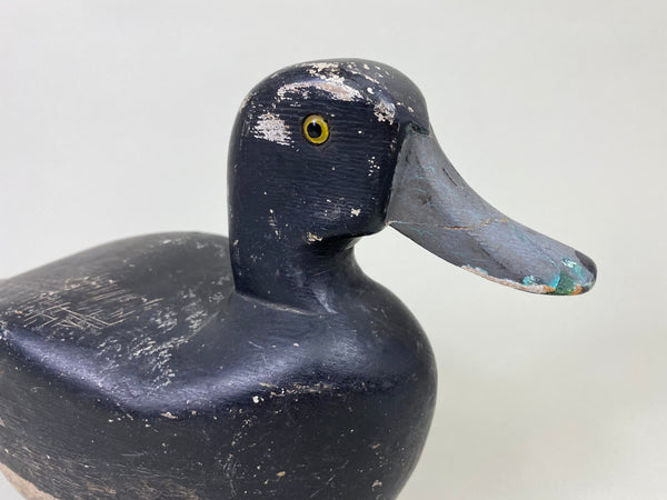 Wendell Smith Bluebill, Circa 1930's (#8591)