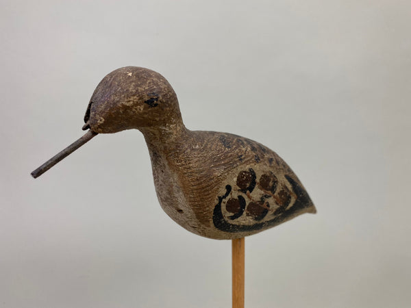 Unknown New Jersey Shorebird, Circa 1890's (#8598)