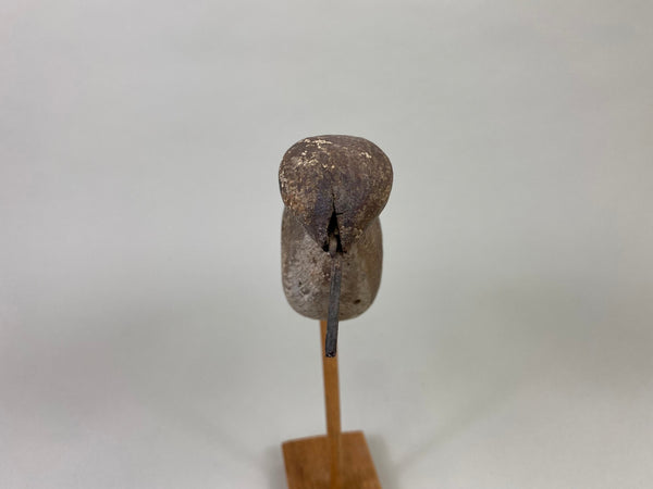 Unknown New Jersey Shorebird, Circa 1890's (#8598)