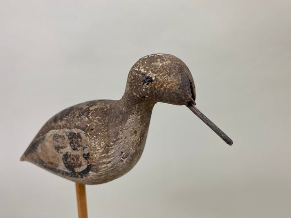Unknown New Jersey Shorebird, Circa 1890's (#8598)