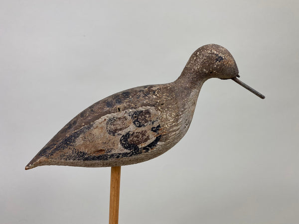 Unknown New Jersey Shorebird, Circa 1890's (#8598)