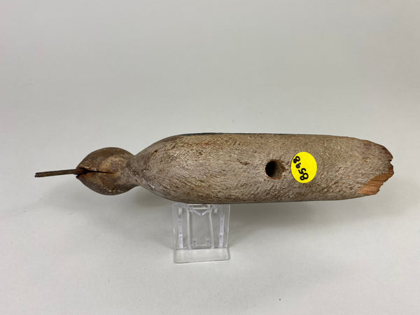 Unknown New Jersey Shorebird, Circa 1890's (#8598)