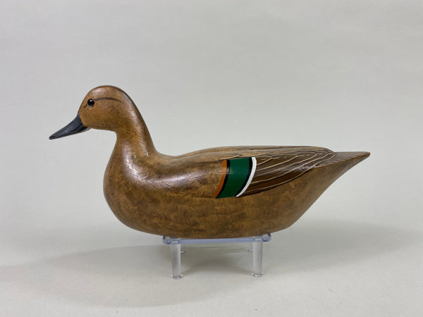 Tony Chiado Green Wing Teal Hen (#8606)