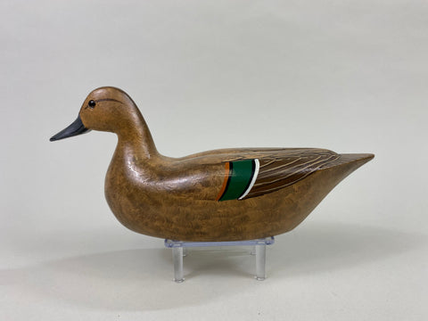 Tony Chiado Green Wing Teal Hen (#8606)
