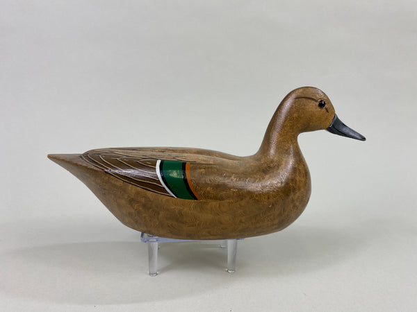 Tony Chiado Green Wing Teal Hen (#8606)