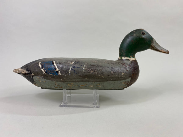 Robert Elliston Mallard Drake, Circa 1900 (#8607)