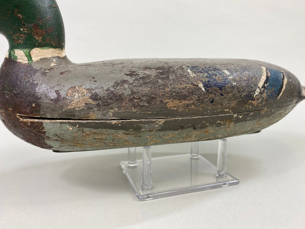 Robert Elliston Mallard Drake, Circa 1900 (#8607)