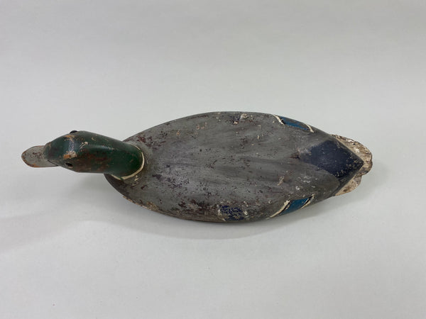 Robert Elliston Mallard Drake, Circa 1900 (#8607)