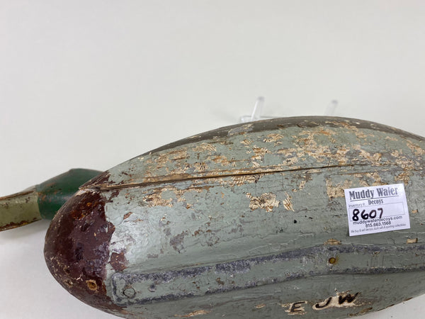 Robert Elliston Mallard Drake, Circa 1900 (#8607)