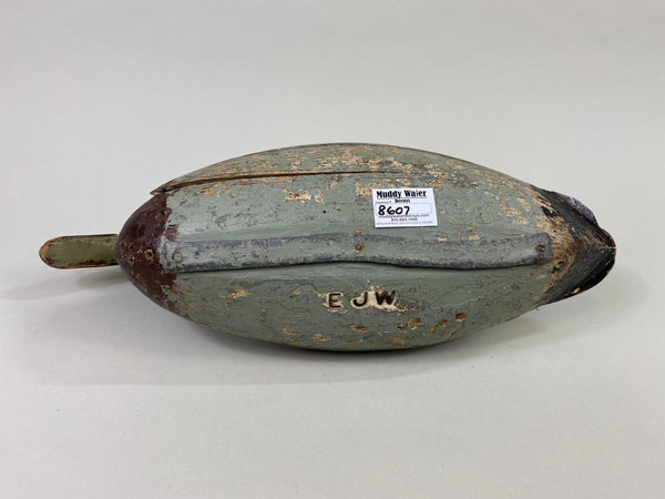 Robert Elliston Mallard Drake, Circa 1900 (#8607)