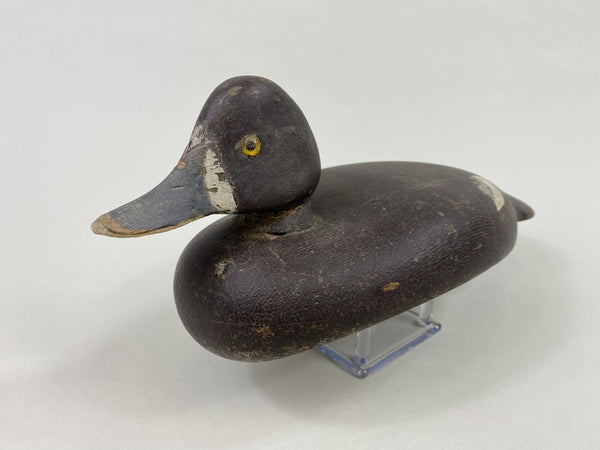 Kingston Penitentiary Bluebill Hen (#8627)