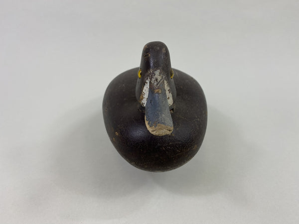 Kingston Penitentiary Bluebill Hen (#8627)